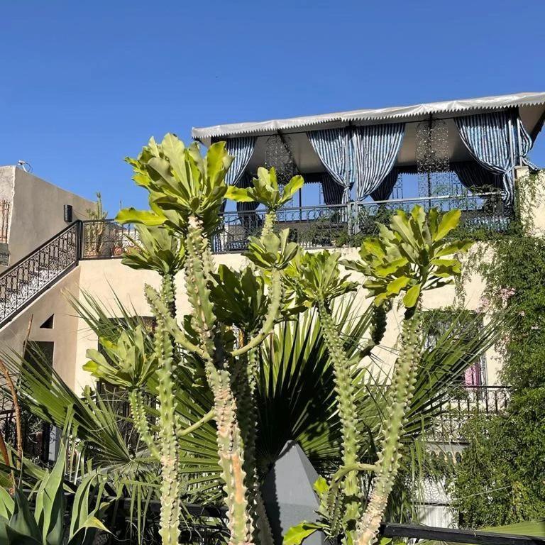 Riad Des Mile Nuits Vakantiehuis *
